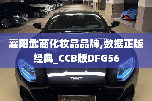 襄阳武商化妆品品牌,数据正版经典_CCB版DFG56