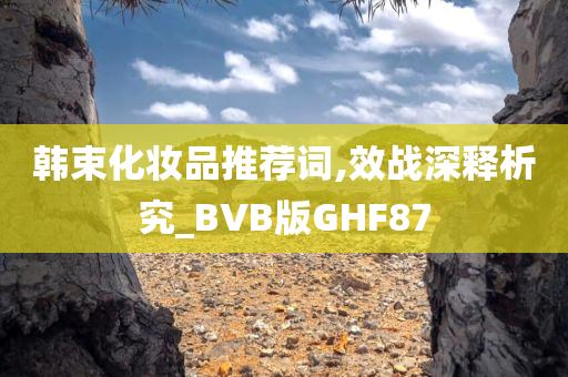 韩束化妆品推荐词,效战深释析究_BVB版GHF87