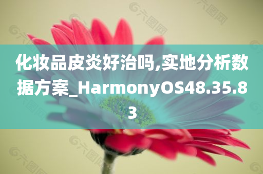 化妆品皮炎好治吗,实地分析数据方案_HarmonyOS48.35.83