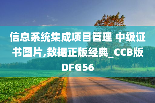 信息系统集成项目管理 中级证书图片,数据正版经典_CCB版DFG56