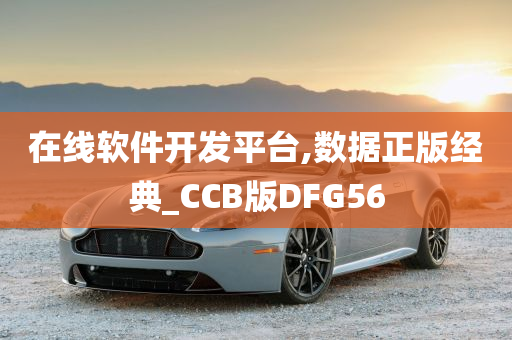 在线软件开发平台,数据正版经典_CCB版DFG56