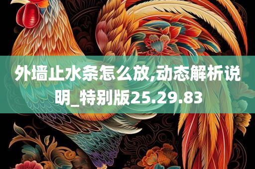 外墙止水条怎么放,动态解析说明_特别版25.29.83