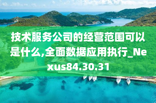 技术服务公司的经营范围可以是什么,全面数据应用执行_Nexus84.30.31