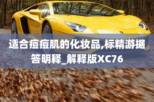 适合痘痘肌的化妆品,标精游据答明释_解释版XC76