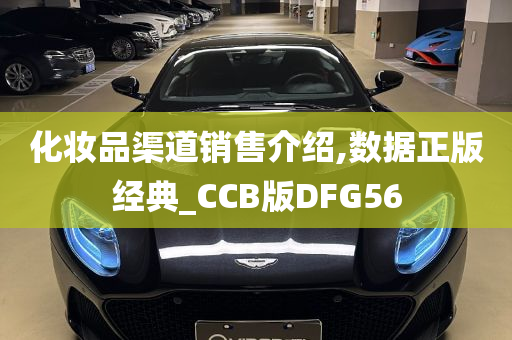 化妆品渠道销售介绍,数据正版经典_CCB版DFG56