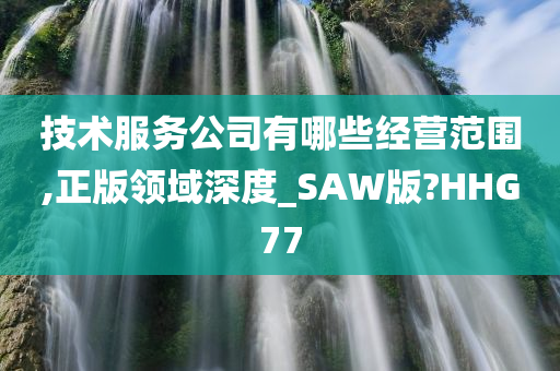 技术服务公司有哪些经营范围,正版领域深度_SAW版?HHG77