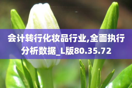 会计转行化妆品行业,全面执行分析数据_L版80.35.72