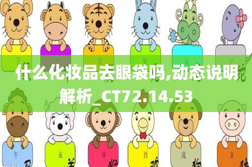 什么化妆品去眼袋吗,动态说明解析_CT72.14.53