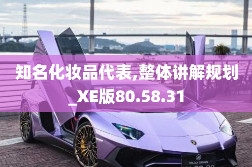 知名化妆品代表,整体讲解规划_XE版80.58.31