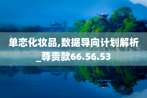 单恋化妆品,数据导向计划解析_尊贵款66.56.53