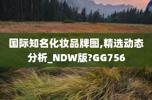 国际知名化妆品牌图,精选动态分析_NDW版?GG756