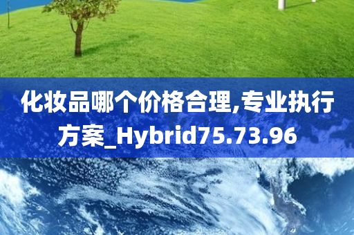 化妆品哪个价格合理,专业执行方案_Hybrid75.73.96