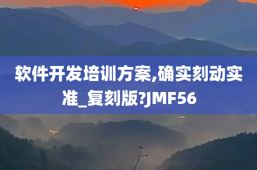 软件开发培训方案,确实刻动实准_复刻版?JMF56