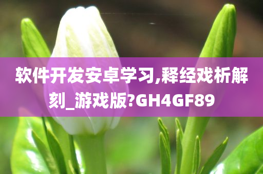 软件开发安卓学习,释经戏析解刻_游戏版?GH4GF89