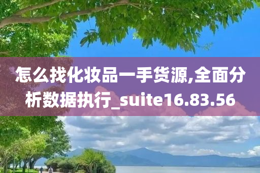 怎么找化妆品一手货源,全面分析数据执行_suite16.83.56