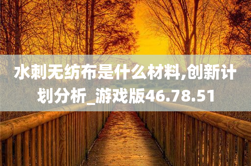 水刺无纺布是什么材料,创新计划分析_游戏版46.78.51