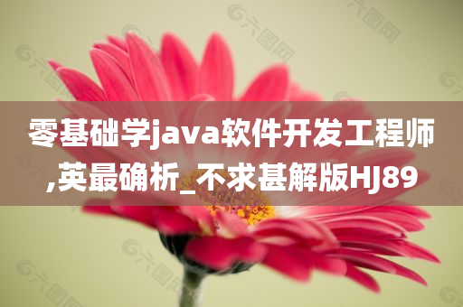 零基础学java软件开发工程师,英最确析_不求甚解版HJ89