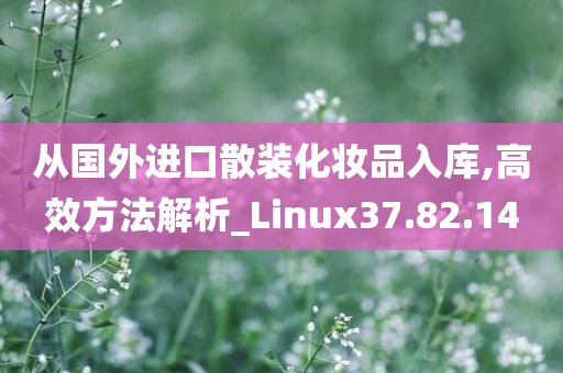 从国外进口散装化妆品入库,高效方法解析_Linux37.82.14