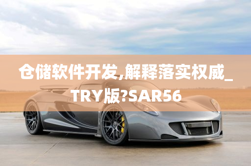 仓储软件开发,解释落实权威_TRY版?SAR56