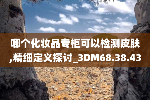 哪个化妆品专柜可以检测皮肤,精细定义探讨_3DM68.38.43