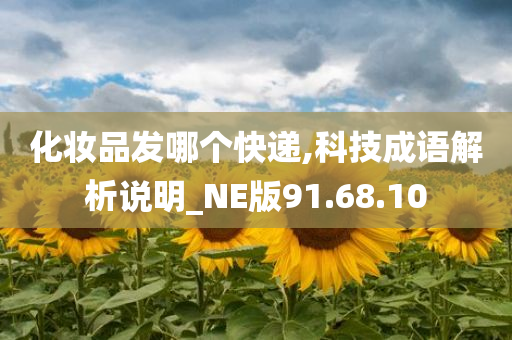 化妆品发哪个快递,科技成语解析说明_NE版91.68.10