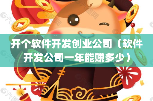 开个软件开发创业公司（软件开发公司一年能赚多少）