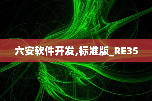 六安软件开发,标准版_RE35