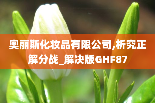 奥丽斯化妆品有限公司,析究正解分战_解决版GHF87