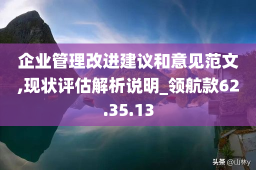 企业管理改进建议和意见范文,现状评估解析说明_领航款62.35.13