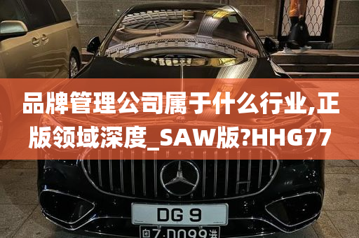 品牌管理公司属于什么行业,正版领域深度_SAW版?HHG77