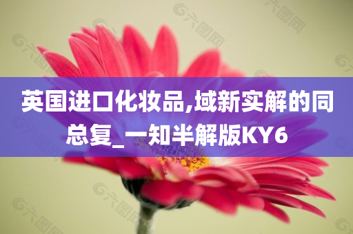 英国进口化妆品,域新实解的同总复_一知半解版KY6