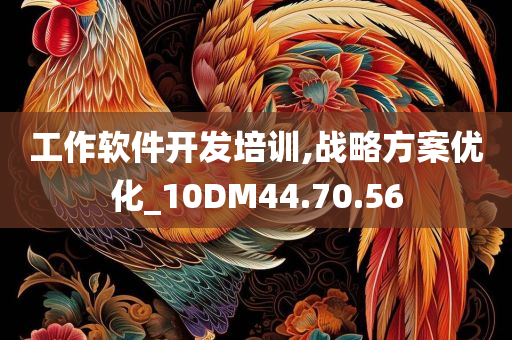 工作软件开发培训,战略方案优化_10DM44.70.56