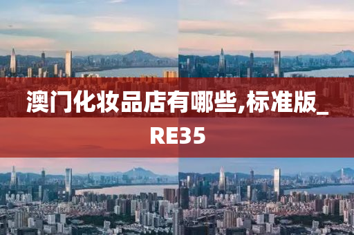 澳门化妆品店有哪些,标准版_RE35