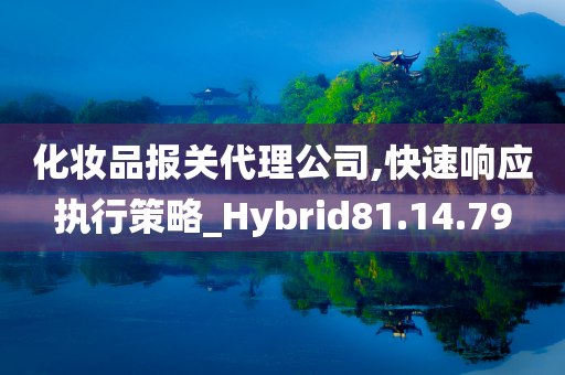 化妆品报关代理公司,快速响应执行策略_Hybrid81.14.79