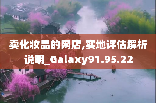 卖化妆品的网店,实地评估解析说明_Galaxy91.95.22