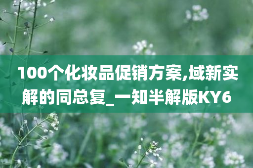 100个化妆品促销方案,域新实解的同总复_一知半解版KY6