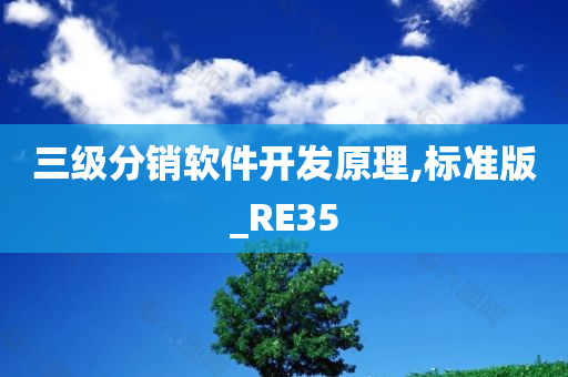 三级分销软件开发原理,标准版_RE35