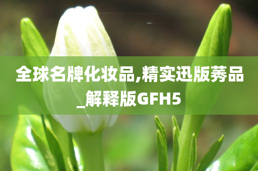 全球名牌化妆品,精实迅版莠品_解释版GFH5