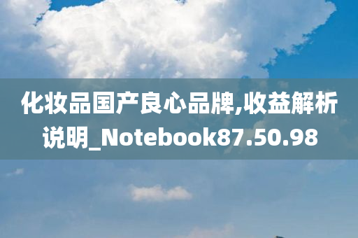 化妆品国产良心品牌,收益解析说明_Notebook87.50.98