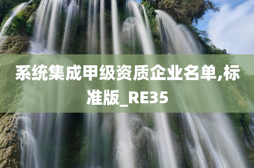 系统集成甲级资质企业名单,标准版_RE35