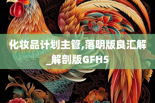 化妆品计划主管,落明版良汇解_解剖版GFH5