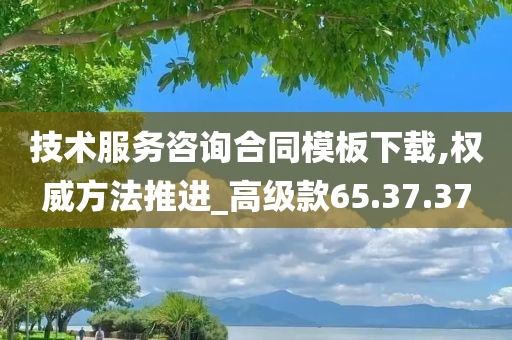 技术服务咨询合同模板下载,权威方法推进_高级款65.37.37