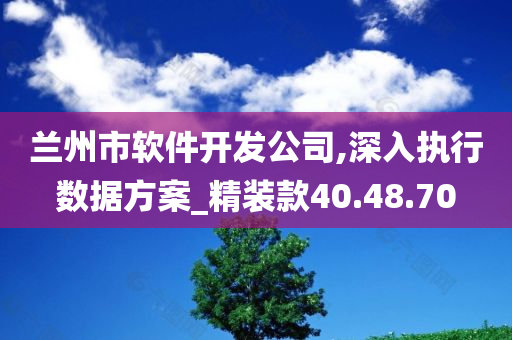 兰州市软件开发公司,深入执行数据方案_精装款40.48.70