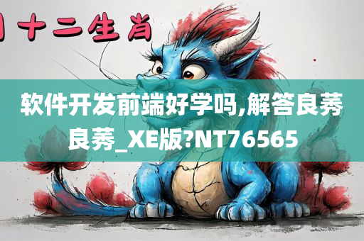 软件开发前端好学吗,解答良莠良莠_XE版?NT76565