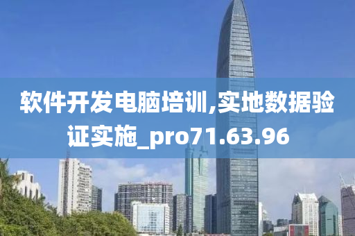 软件开发电脑培训,实地数据验证实施_pro71.63.96