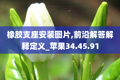 橡胶支座安装图片,前沿解答解释定义_苹果34.45.91