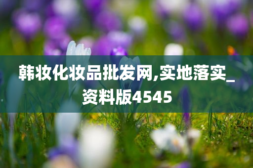 韩妆化妆品批发网,实地落实_资料版4545