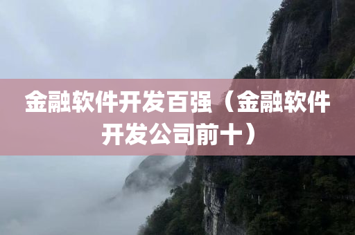 金融软件开发百强（金融软件开发公司前十）