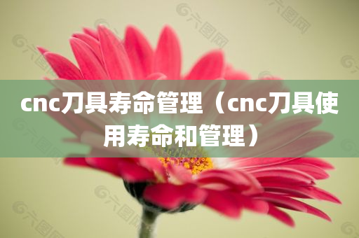 cnc刀具寿命管理（cnc刀具使用寿命和管理）