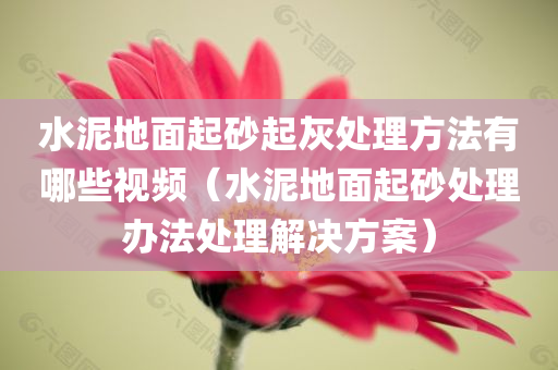 水泥地面起砂起灰处理方法有哪些视频（水泥地面起砂处理办法处理解决方案）